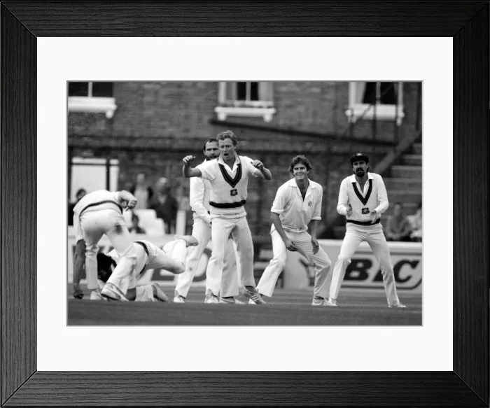 Framed Print : Cricket The Ashes England v Australia 6th Test at The Oval September 1981 Framed Print : Cricket The Ashes England v Australia 6th Test at The Oval September 1981