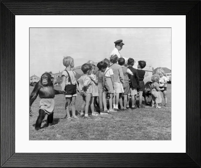 Framed Print : Children queue with their Chimpanzee friend for an ice cream at Billy Smart Circus