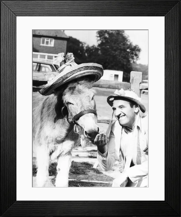 Framed Print : Leonard Rossiter with Rigsby the Donkey he adopted July 1982