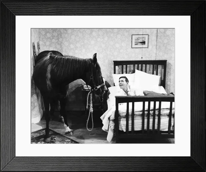 Framed Print : Norman Wisdom Comedian Actor with Nellie the Horse in a scene from the film Framed Print : Norman Wisdom Comedian Actor with Nellie the Horse in a scene from the film