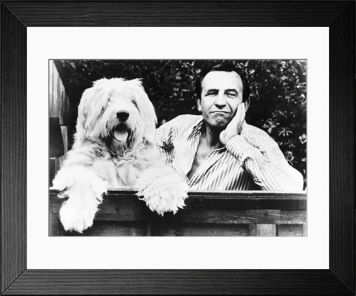 Framed Print : Leonard Rossiter with Boot the dog of daily mirrorman Ray Weaver March 1979 Framed Print : Leonard Rossiter with Boot the dog of daily mirrorman Ray Weaver March 1979