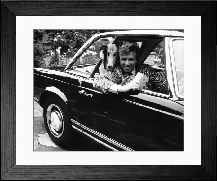 Framed Print : Tommy Steele actor at his home at Hampton Wick - in his car with his collie dog Framed Print : Tommy Steele actor at his home at Hampton Wick - in his car with his collie dog