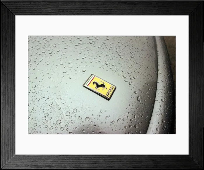 Framed Print : FERRARI CARS AT GLENEAGLES HOTEL February 1999 550 MARANELLO (SILVER) badge Framed Print : FERRARI CARS AT GLENEAGLES HOTEL February 1999 550 MARANELLO (SILVER) badge
