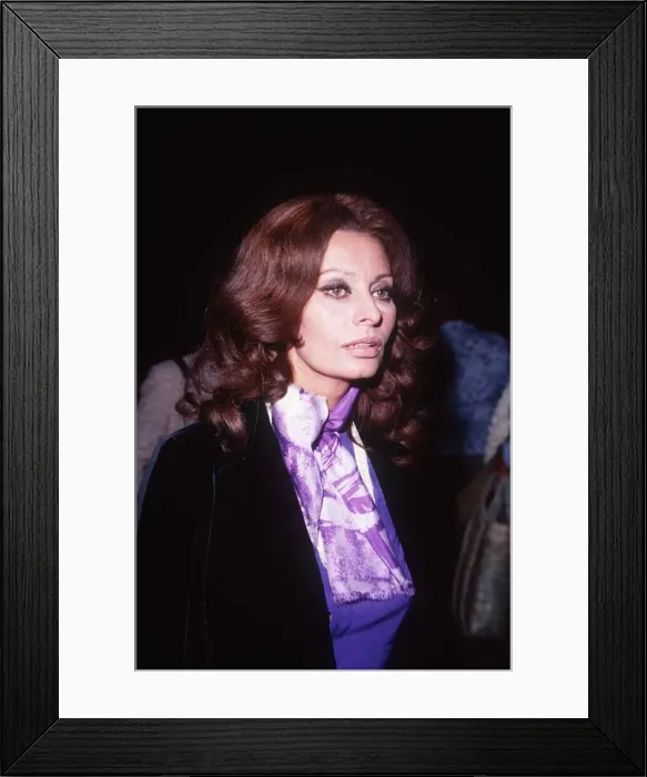Framed Print : Sophia Loren Actress - November 1977 dbase msi Framed Print : Sophia Loren Actress - November 1977 dbase msi