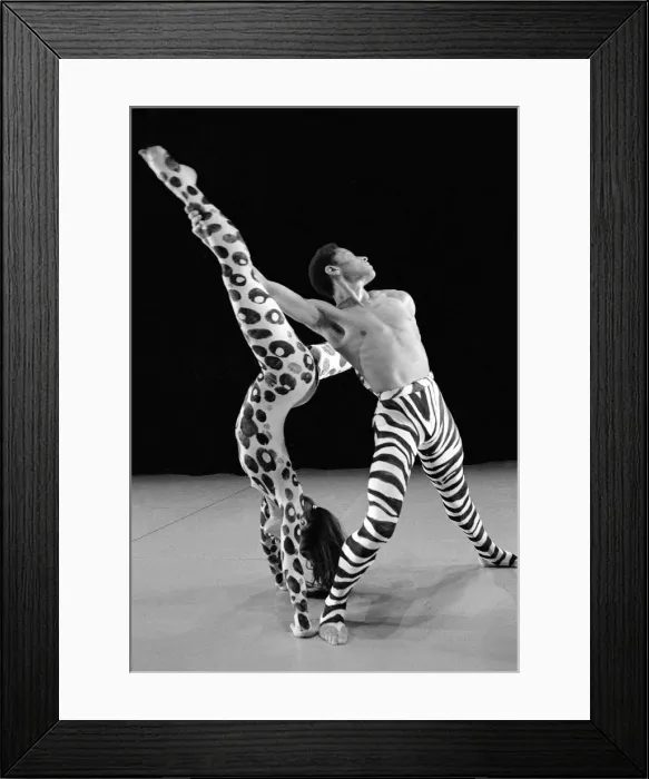 Framed Print : London Contemporary Dance Theatre presents Robert Norths world premiere of Framed Print : London Contemporary Dance Theatre presents Robert Norths world premiere of