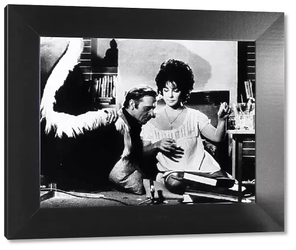 Richard Burton Actor with actress Liz Taylor in the film Divorce His