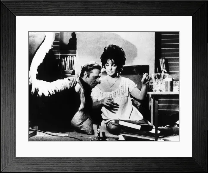 Framed Print : Richard Burton Actor with actress Liz Taylor in the film Divorce His Framed Print : Richard Burton Actor with actress Liz Taylor in the film Divorce His