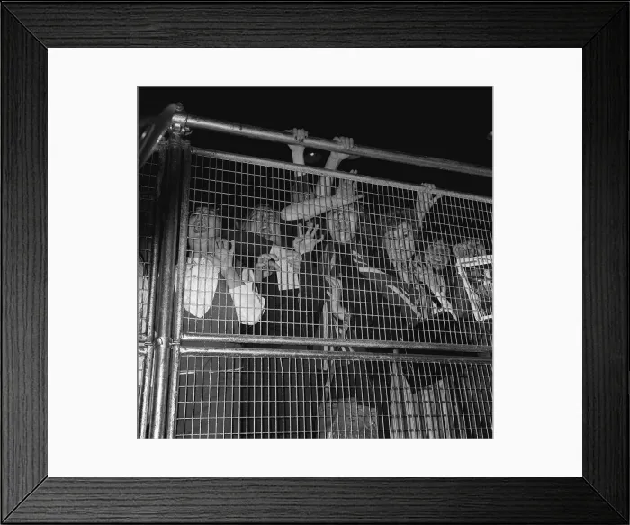 Framed Print : Beatles fans at Wimbledon Palais. 14th December 1963