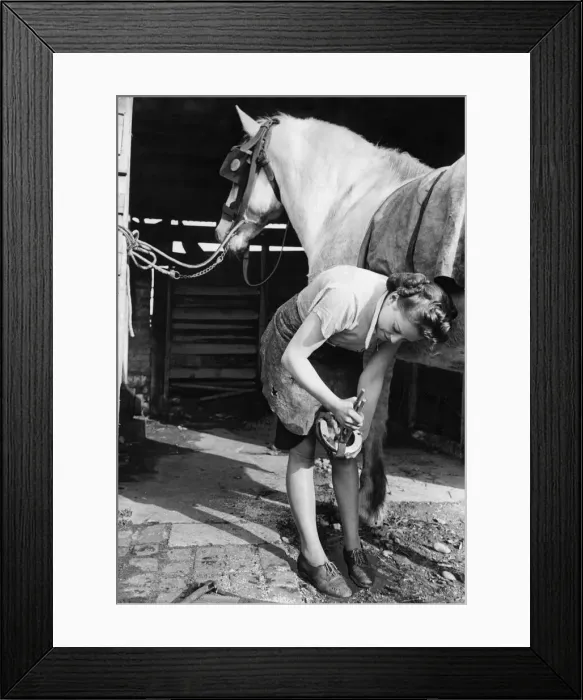 Framed Print : World War Two. Mrs Hughes changing a horses shoe while working as a blacksmith during