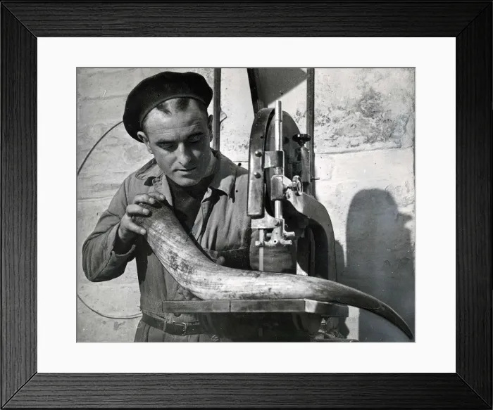 Framed Print : Peter Curran working on a horn at a horn factory April 1953 Framed Print : Peter Curran working on a horn at a horn factory April 1953