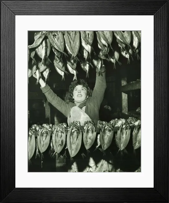 Framed Print : Taking the kippers out of the brine and hanging them on the bualks to allow the salt to Framed Print : Taking the kippers out of the brine and hanging them on the bualks to allow the salt to