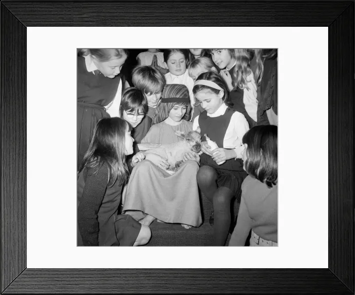 Framed Print : Pupils of the Westfold Primary school Barnes seen here during their performance of Framed Print : Pupils of the Westfold Primary school Barnes seen here during their performance of