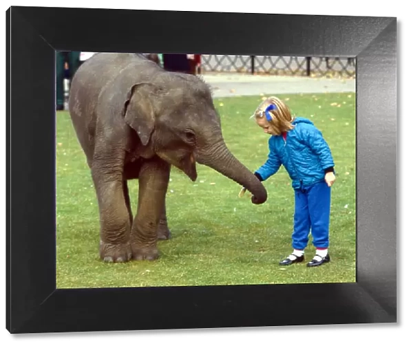 Layang Layang the orphaned baby Malay Elephant with little girl at London Zoo