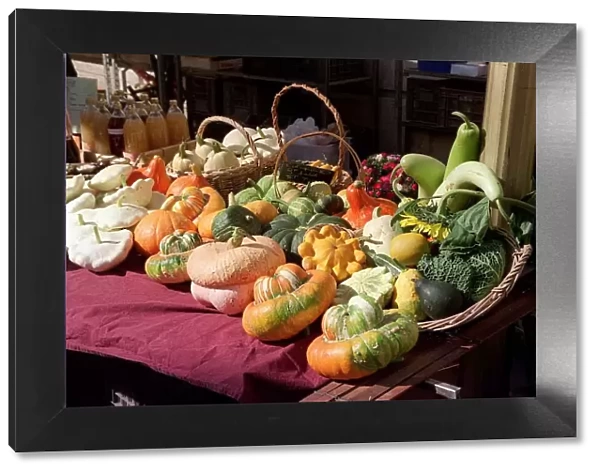 France Annecy different types of Squashes on sale in the local market at Annecy