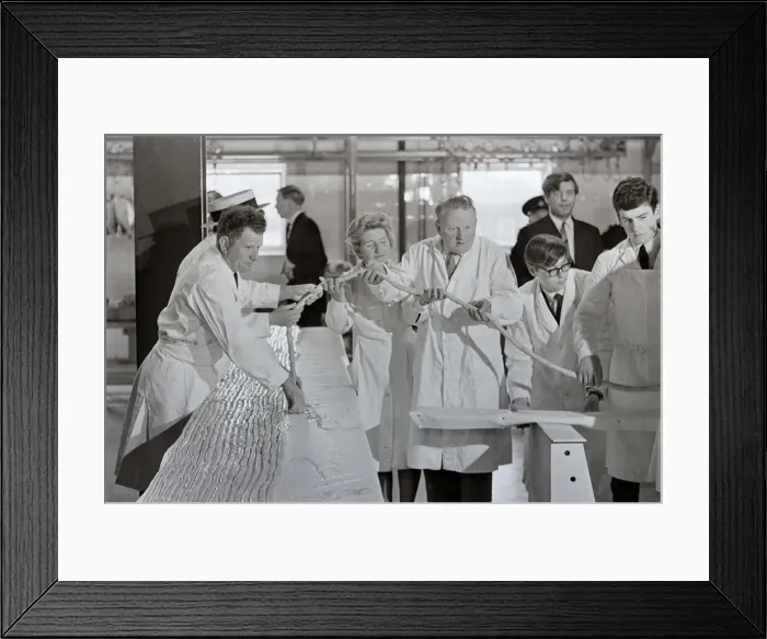 Framed Print : The Worlds Longest sausage measuring 3, 124 feet was made in a susage factory in Framed Print : The Worlds Longest sausage measuring 3, 124 feet was made in a susage factory in