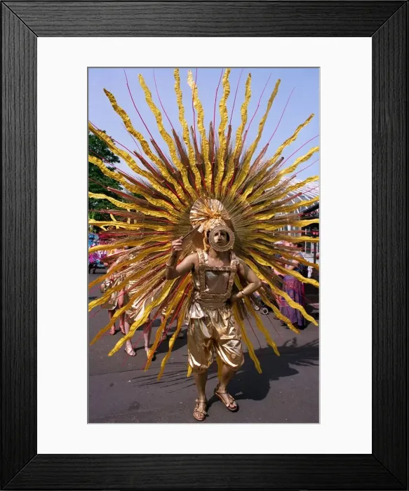 Framed Print : The sun out in force at the botanic gardens in glasgow as the west end festival comes to