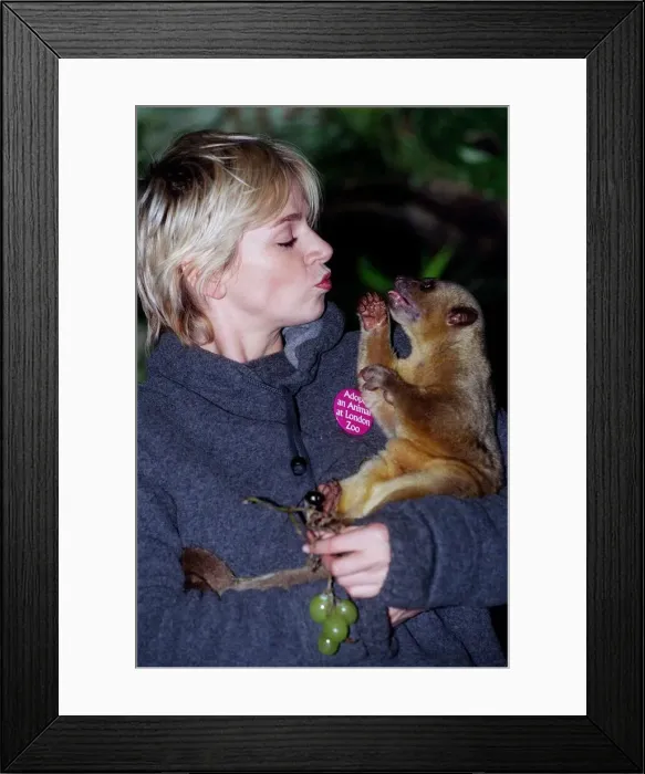 Framed Print : Zoe Ball Radio / TV Presenter October 1998 At London Zoo holding a baby bear she has Framed Print : Zoe Ball Radio / TV Presenter October 1998 At London Zoo holding a baby bear she has