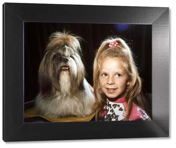 A Tibetan Lion Dog called Daphne with a young girl October 1972 animals with