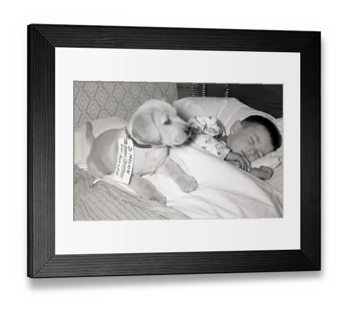 Framed Print : A Puppy is for life not just for Christmas When four year old Melvin Perkins of Framed Print : A Puppy is for life not just for Christmas When four year old Melvin Perkins of