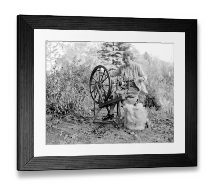 Framed Print : Miss B. Lewis of Northumberland preparing to spin Chow combings on her spinning wheel