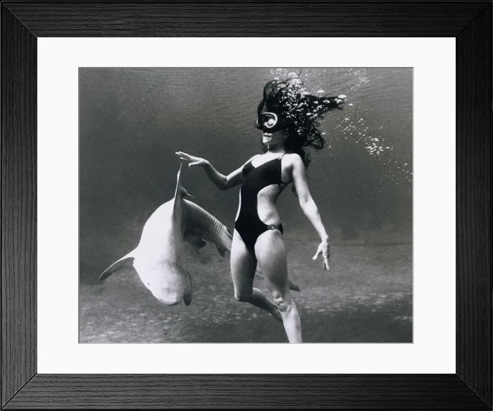 Framed Print : Model Marty Worsham of Florida glides through the waters with a shark in silhouette Framed Print : Model Marty Worsham of Florida glides through the waters with a shark in silhouette