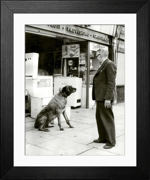Framed Print : Bruce the shop dog is passed on to a new owner as Arthur Turner retires from Framed Print : Bruce the shop dog is passed on to a new owner as Arthur Turner retires from