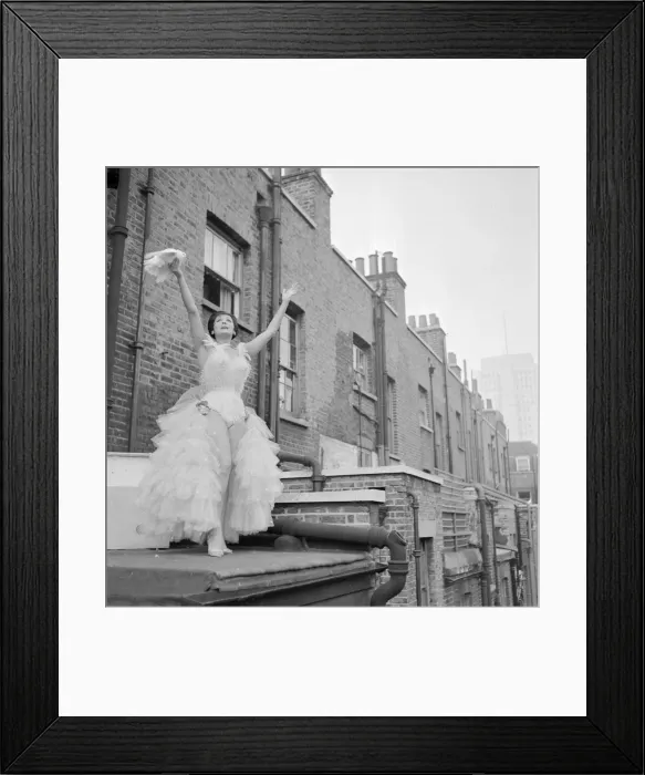 Framed Print : Italian stage artist Mora Orfei stands on the balcony of her flat cooing to her four Framed Print : Italian stage artist Mora Orfei stands on the balcony of her flat cooing to her four