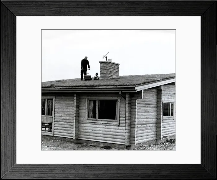 Framed Print : Mr Cooper pictured mowing the lawn on the top of his log cabin Framed Print : Mr Cooper pictured mowing the lawn on the top of his log cabin