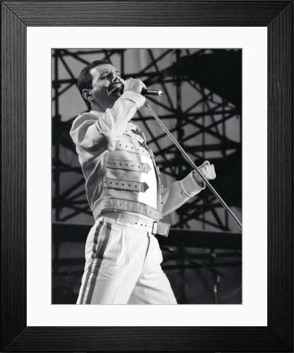 Framed Print : Queen Rock Group Freddie mercury, Brian May, John Deacon & Roger Taylor Framed Print : Queen Rock Group Freddie mercury, Brian May, John Deacon & Roger Taylor