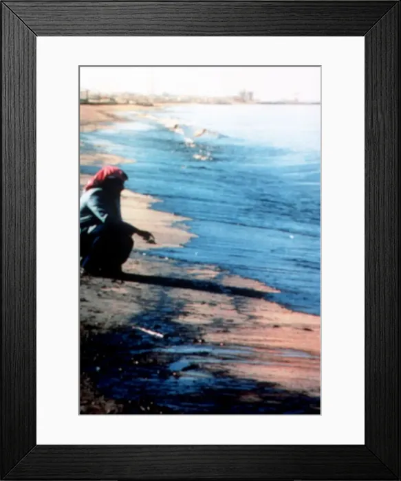 Framed Print : A member of the Saudi Environment Agency inspects the pollution along the gulf coast Framed Print : A member of the Saudi Environment Agency inspects the pollution along the gulf coast