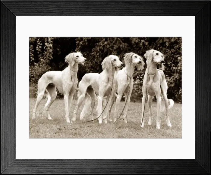 Framed Print : PM03-Prints- 126. jpg Framed Print : PM03-Prints- 126. jpg