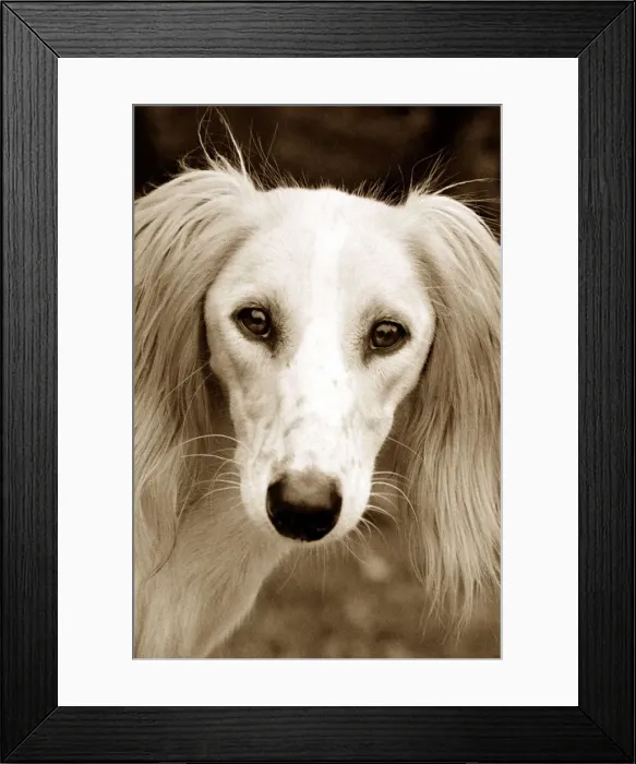 Framed Print : PM03-Prints- 125. jpg Framed Print : PM03-Prints- 125. jpg