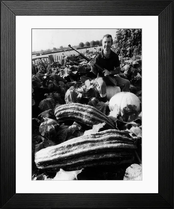 Framed Print : David Payne guards his 76. 5lb marrow 1981 Framed Print : David Payne guards his 76. 5lb marrow 1981