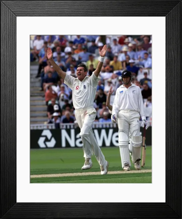 Framed Print : ANDY CADDICK CRICKET PLAYER OF ENGLAND JULY 1999 CELEBRATES AFTER HE TAKES ANOTHER Framed Print : ANDY CADDICK CRICKET PLAYER OF ENGLAND JULY 1999 CELEBRATES AFTER HE TAKES ANOTHER