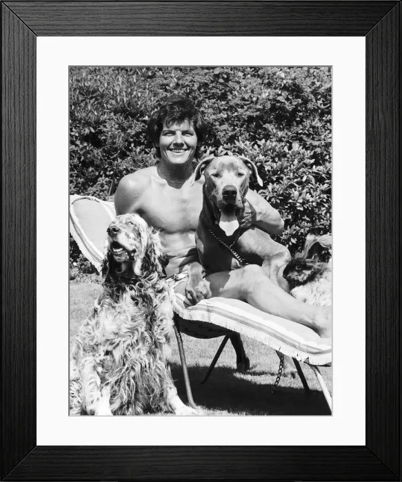 Framed Print : Jess Conrad singer and actor in his garden with two of his unwanted dogs that he has Framed Print : Jess Conrad singer and actor in his garden with two of his unwanted dogs that he has