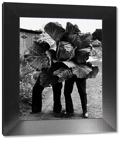 John McLaughlin and friend with his 120lb prize winning cabbage 1982