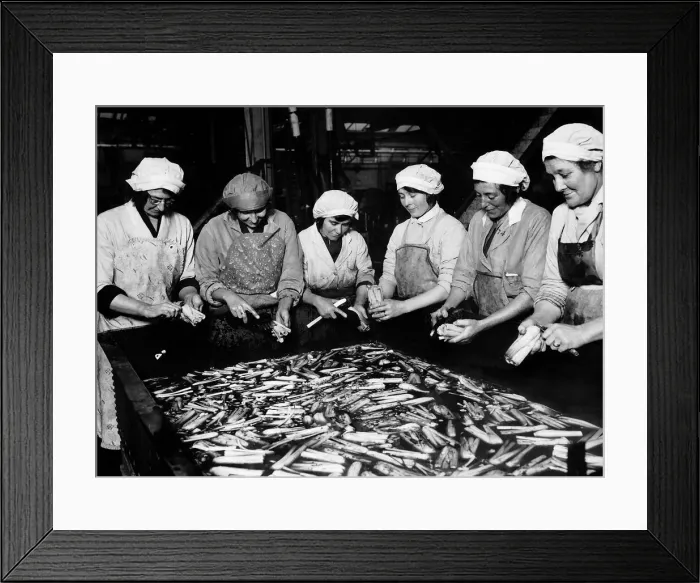 Framed Print : Women in Industry working in Smedleys canning Factory A©Mirrorpix Framed Print : Women in Industry working in Smedleys canning Factory A©Mirrorpix