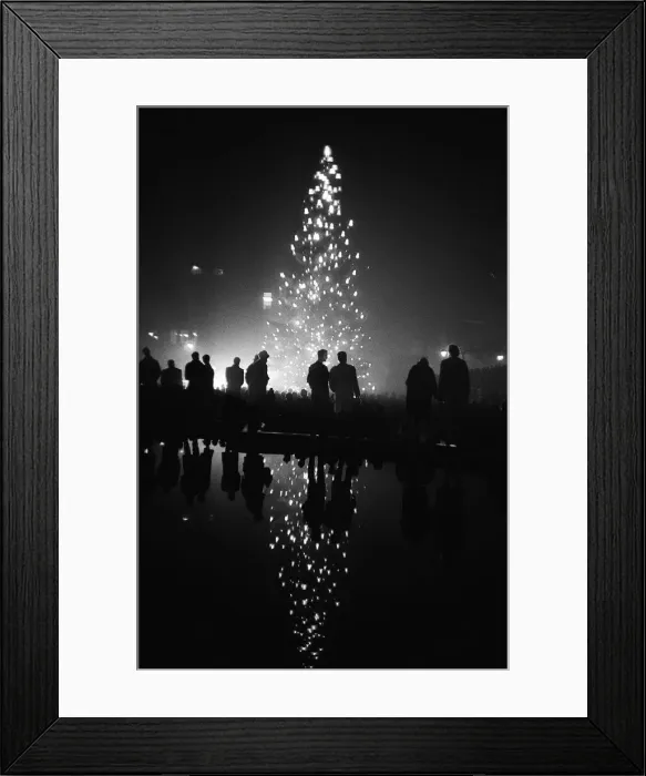 Framed Print : The Christmas Tree from Norway is illuminated for the first time in Trafalgar Square