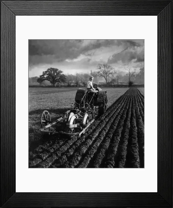 Framed Print : Land girl plowing field with tractor in Berkshire MSI WW2
