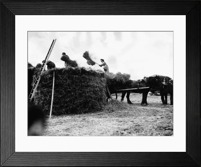 Framed Print : Women during War - girls of the Womens Land Army giving a demonstration of how to Framed Print : Women during War - girls of the Womens Land Army giving a demonstration of how to