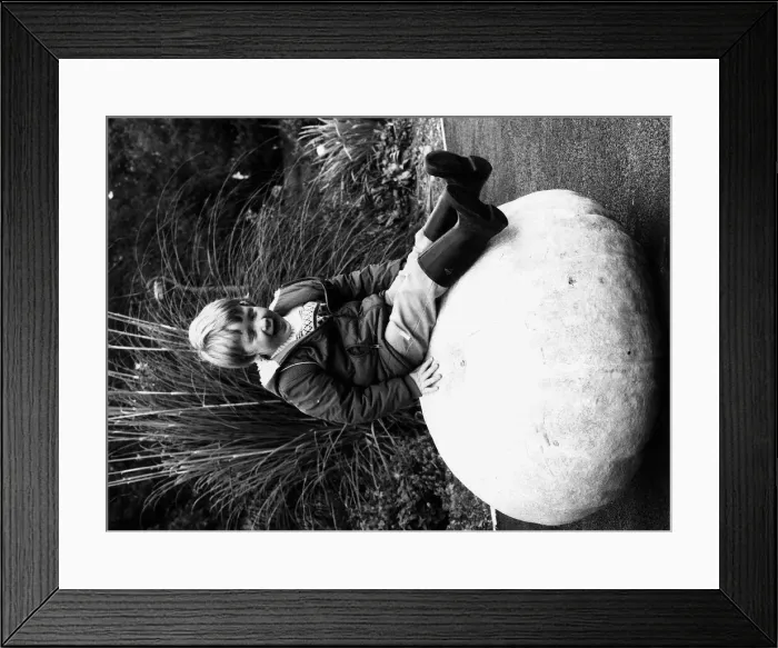 Framed Print : Mathew McLean on a 248lb pumpkin 1981 Framed Print : Mathew McLean on a 248lb pumpkin 1981