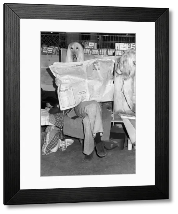 Framed Print : Crufts Dog Show. A dog looks over the top of its owners newspaper Despite Framed Print : Crufts Dog Show. A dog looks over the top of its owners newspaper Despite