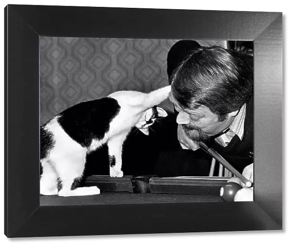 Cat plays pool snooker stands on table circa 1973