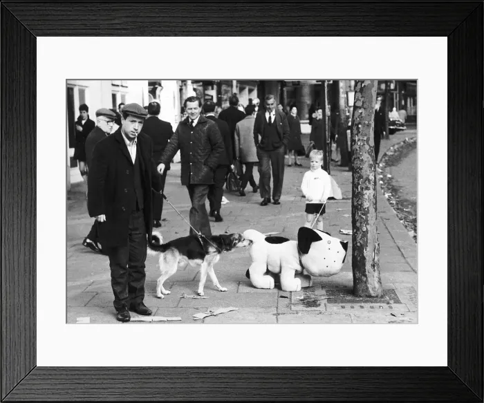 Framed Print : A mechanical toy dog sniffing a tree is being sniffed ata by a real dog on the street Framed Print : A mechanical toy dog sniffing a tree is being sniffed ata by a real dog on the street