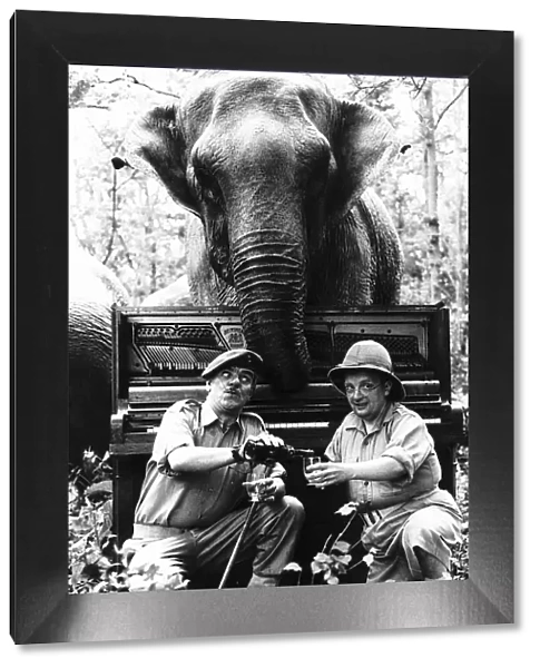 Don Estelle Actor Singer With Fellow Actor Windsor Davies In Windsor Safari Park