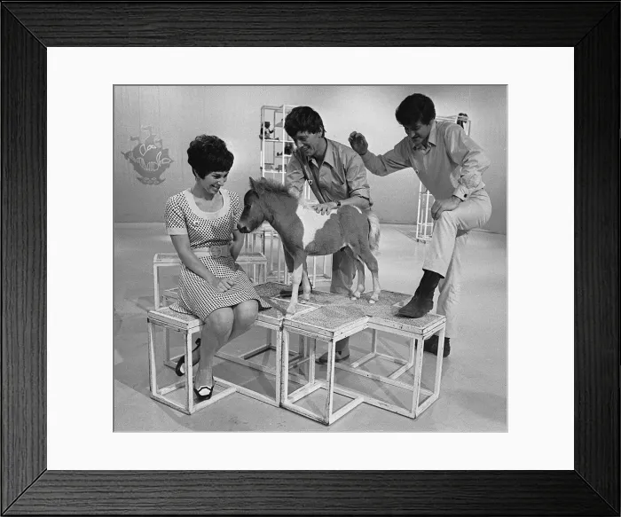 Framed Print : Childrens television programme Blue Peter 1968 Valerie Singleton John Noakes playing with