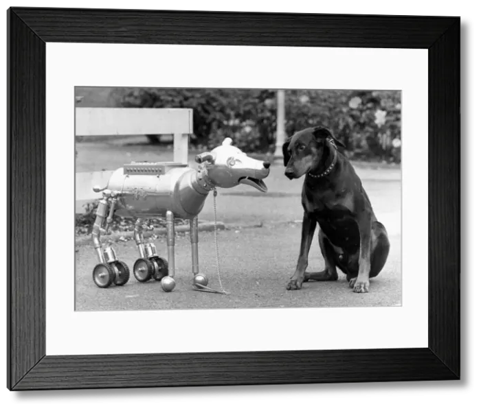 Framed Print : Robot dog R4 meets Hitler the Real Doberman Dog with puzzling consequences Framed Print : Robot dog R4 meets Hitler the Real Doberman Dog with puzzling consequences