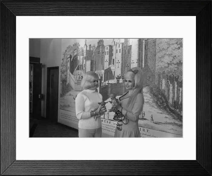 Framed Print : Diana Dors May 1967 actress with Jayne Mansfield In a Leeds Hotel Framed Print : Diana Dors May 1967 actress with Jayne Mansfield In a Leeds Hotel