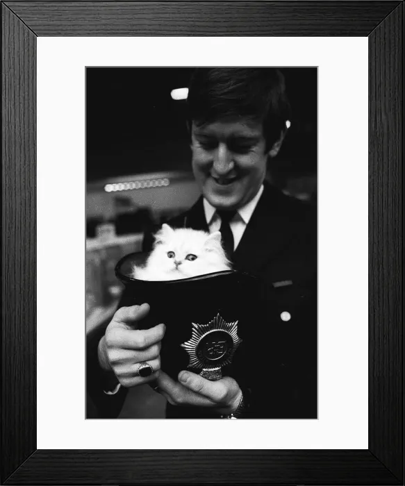 Framed Print : The National Cat Club Championship Show 1984 at Olympia Framed Print : The National Cat Club Championship Show 1984 at Olympia