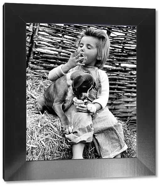 Animals Humour Dogs Boxer George September 1959 Hilary Dellar with the puppy 8 week